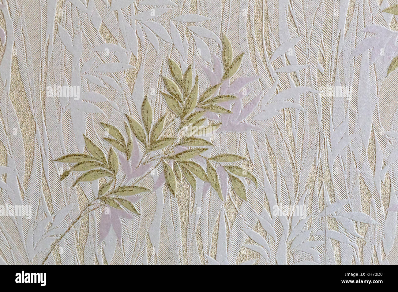 Image de fond dans des tons pastel avec des images de plantes. Banque D'Images