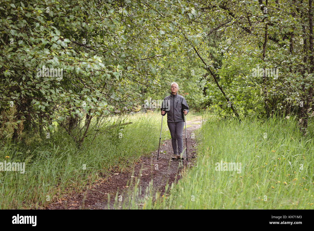 Senior woman hiker marcher avec des bâtons de marche dans la forêt Banque D'Images