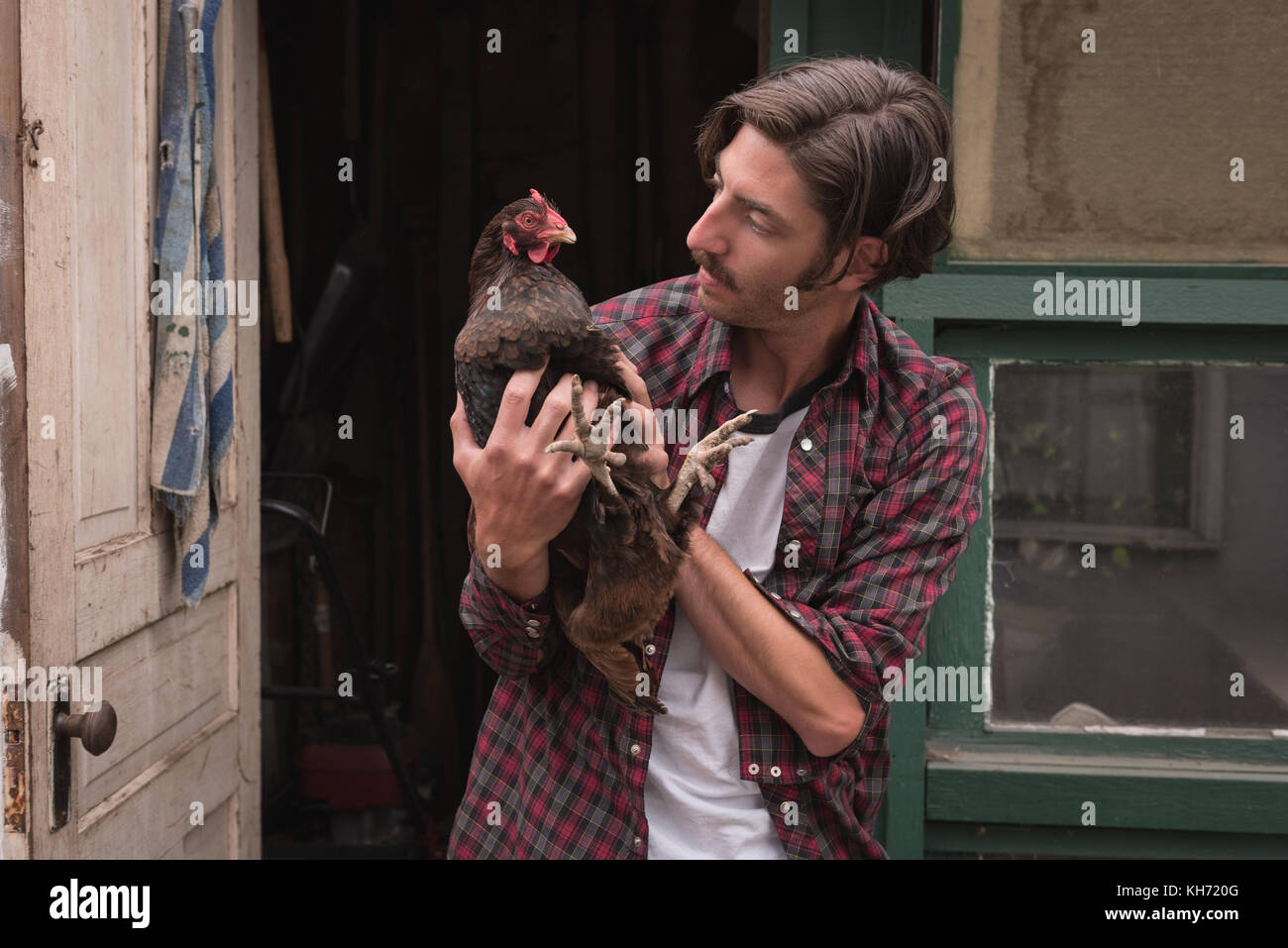 Homme tenant une poule à la ferme avicole Banque D'Images