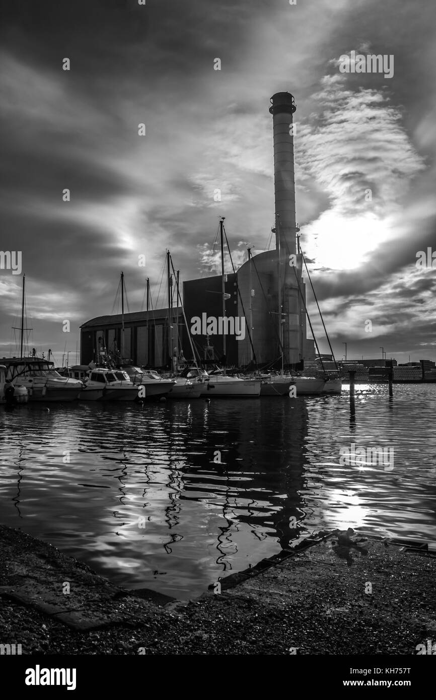 Noir et blanc sur l'eau en usine Banque D'Images