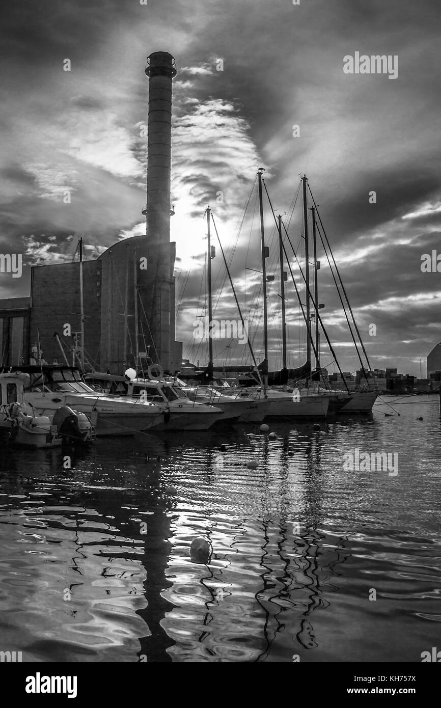 Noir et blanc sur l'eau en usine Banque D'Images