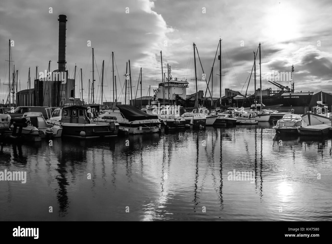 Noir et blanc sur l'eau en usine Banque D'Images