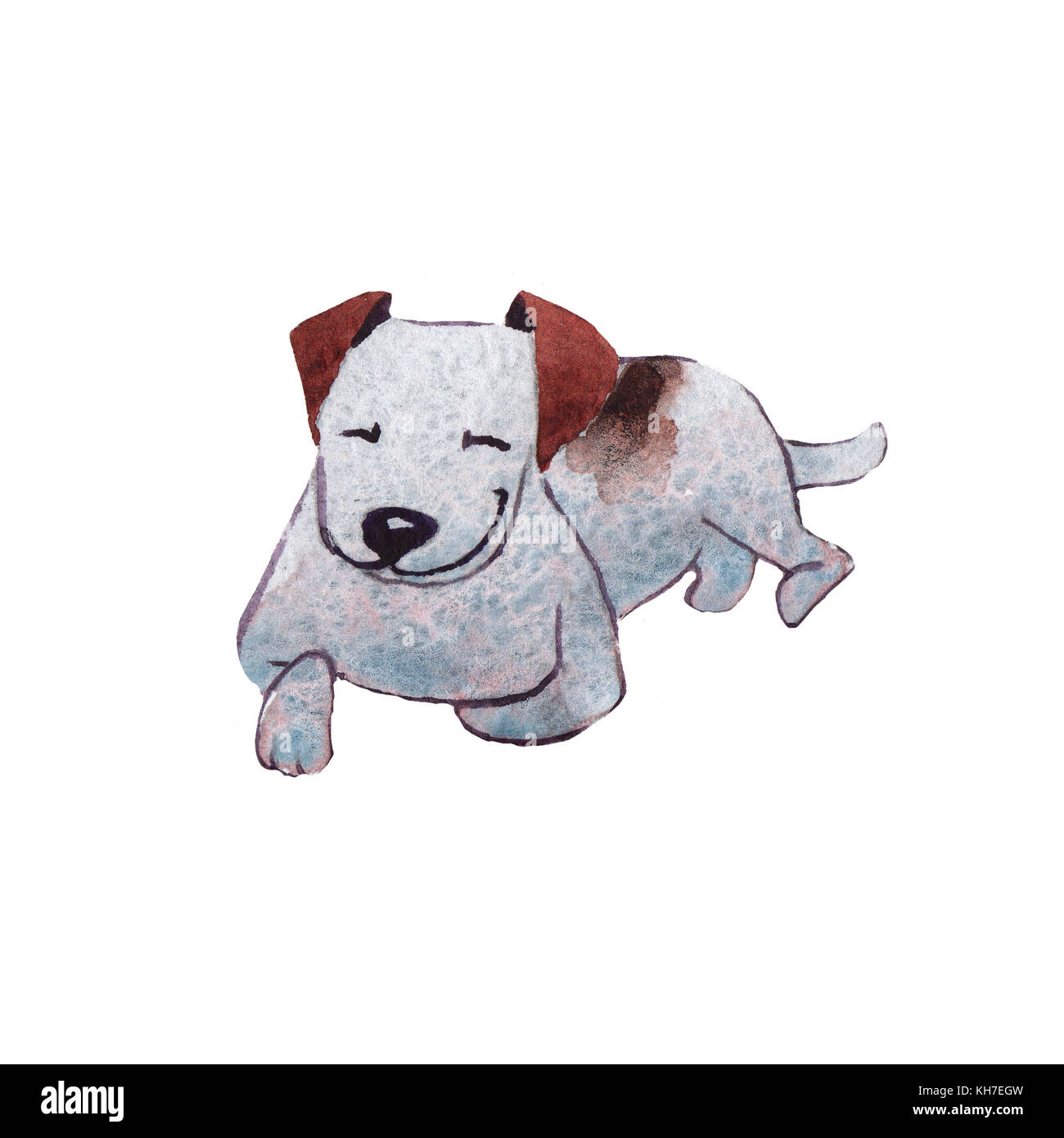 Jackrussel terrier dog puppy dessin aquarelle illustration Banque D'Images