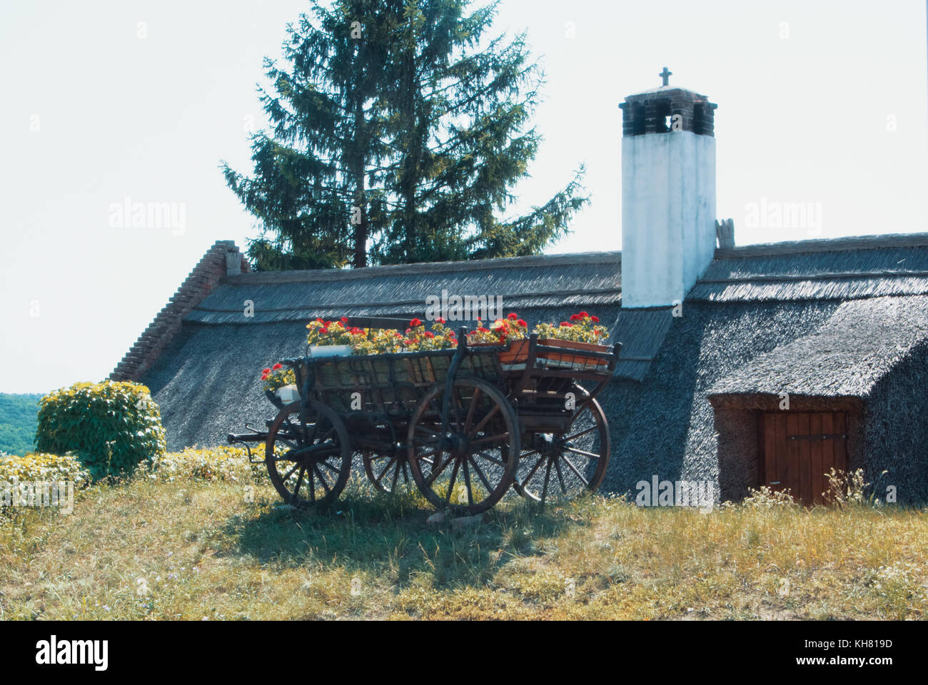 Un vieux millésime charrette remplie de fleurs rouge vif vert debout sur une colline herbeuse à côté le toit de chaume d'un village traditionnel hongrois Banque D'Images