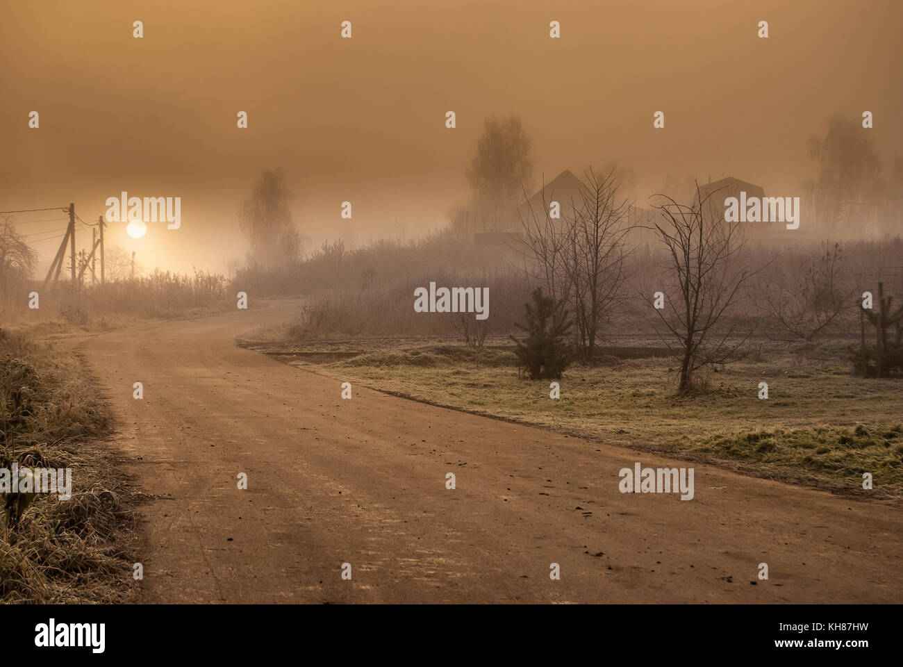 Un paysage rural avec une route dans la brume matinale, dans des tons chaleureux. Banque D'Images