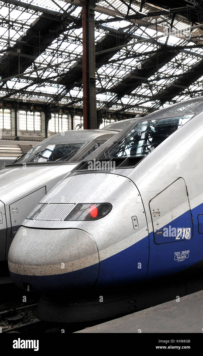 TGV en gare de Lyon, Paris, France Banque D'Images