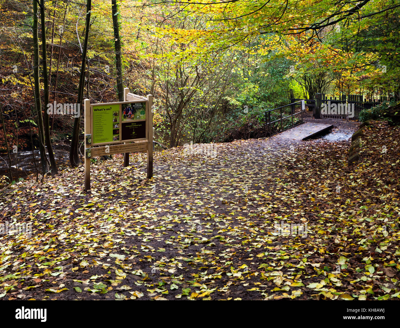 Conseil d'interprétation à la scierie entrée dans Skipton Castle Woods à Skipton North Yorkshire Angleterre Banque D'Images