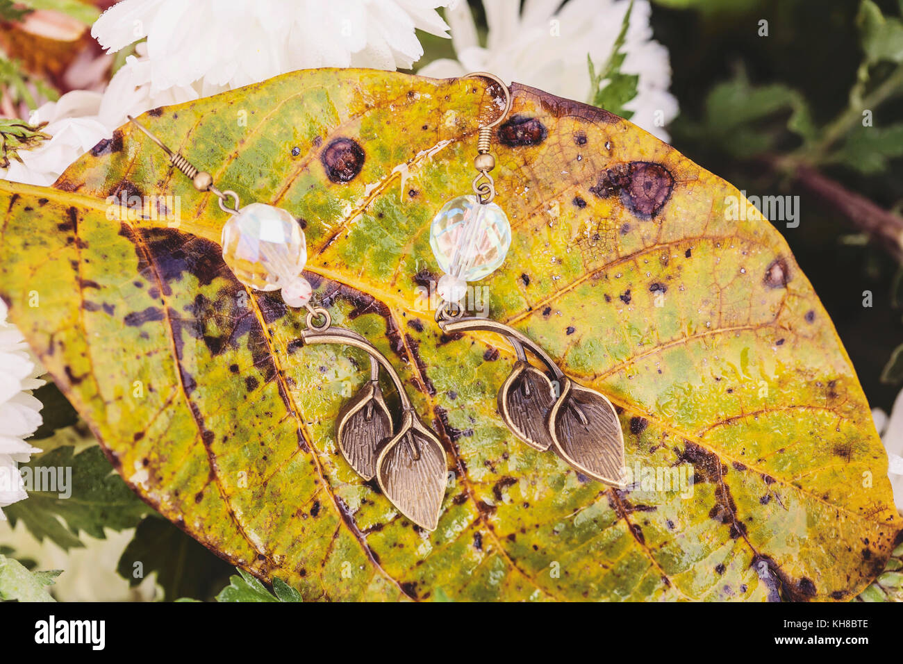 Belles boucles d'oreille sur l'automne fond naturel Banque D'Images