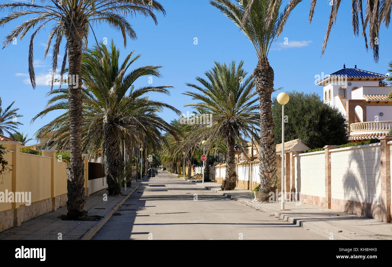 Rue bordée de palmiers, vide de Cabo Roig. costa blanca espagne. Banque D'Images