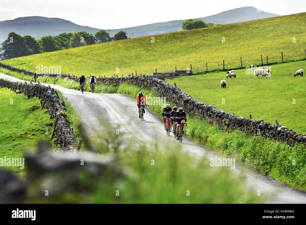 Les cyclistes du vélo dans une sportive le long d'un chemin de campagne près de Eshton, Yorkshire Dales UK Banque D'Images