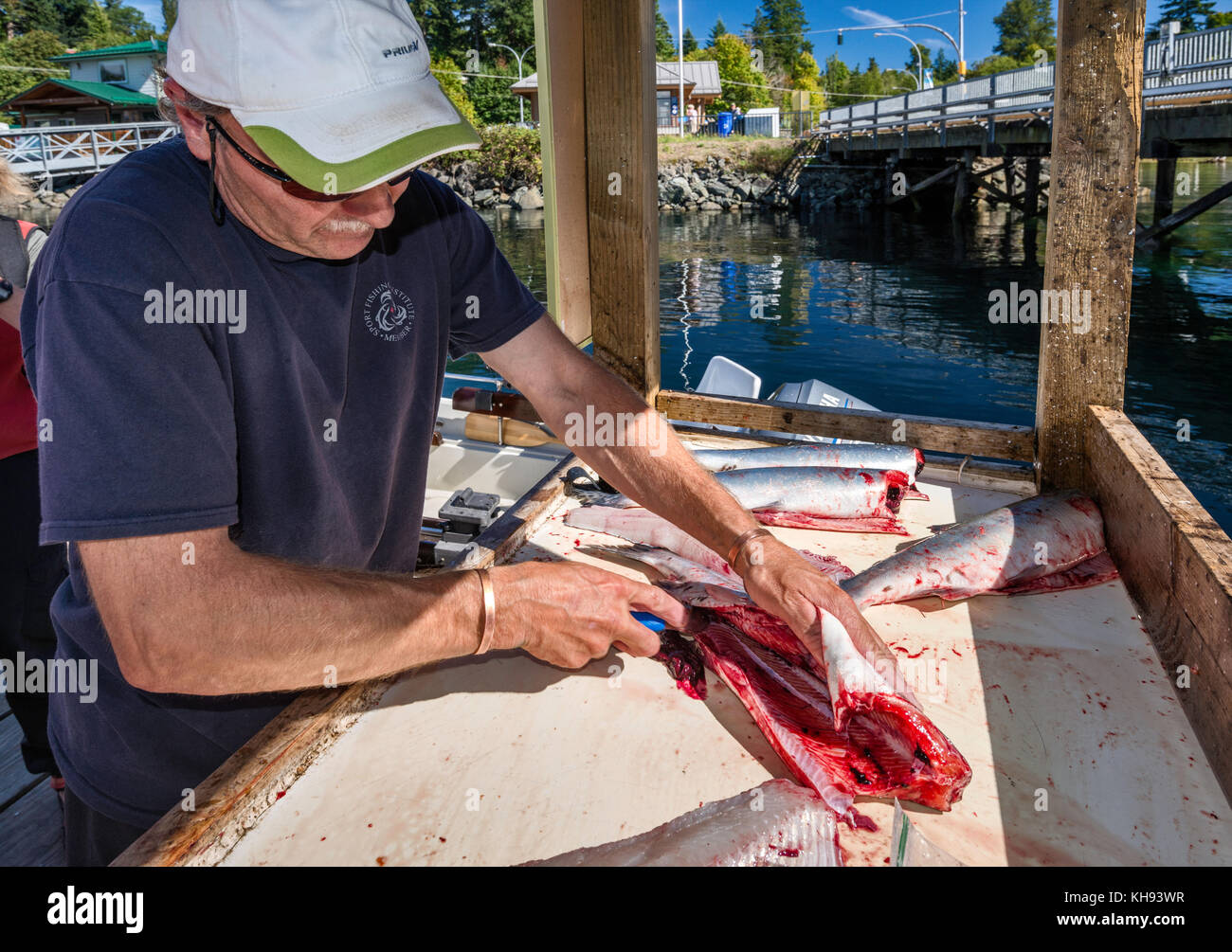 L'homme mûr évisse des poissons à la marina de Quathiaski Cove, sur l'île Quadra, dans la région de l'île de Vancouver, en Colombie-Britannique, au Canada Banque D'Images