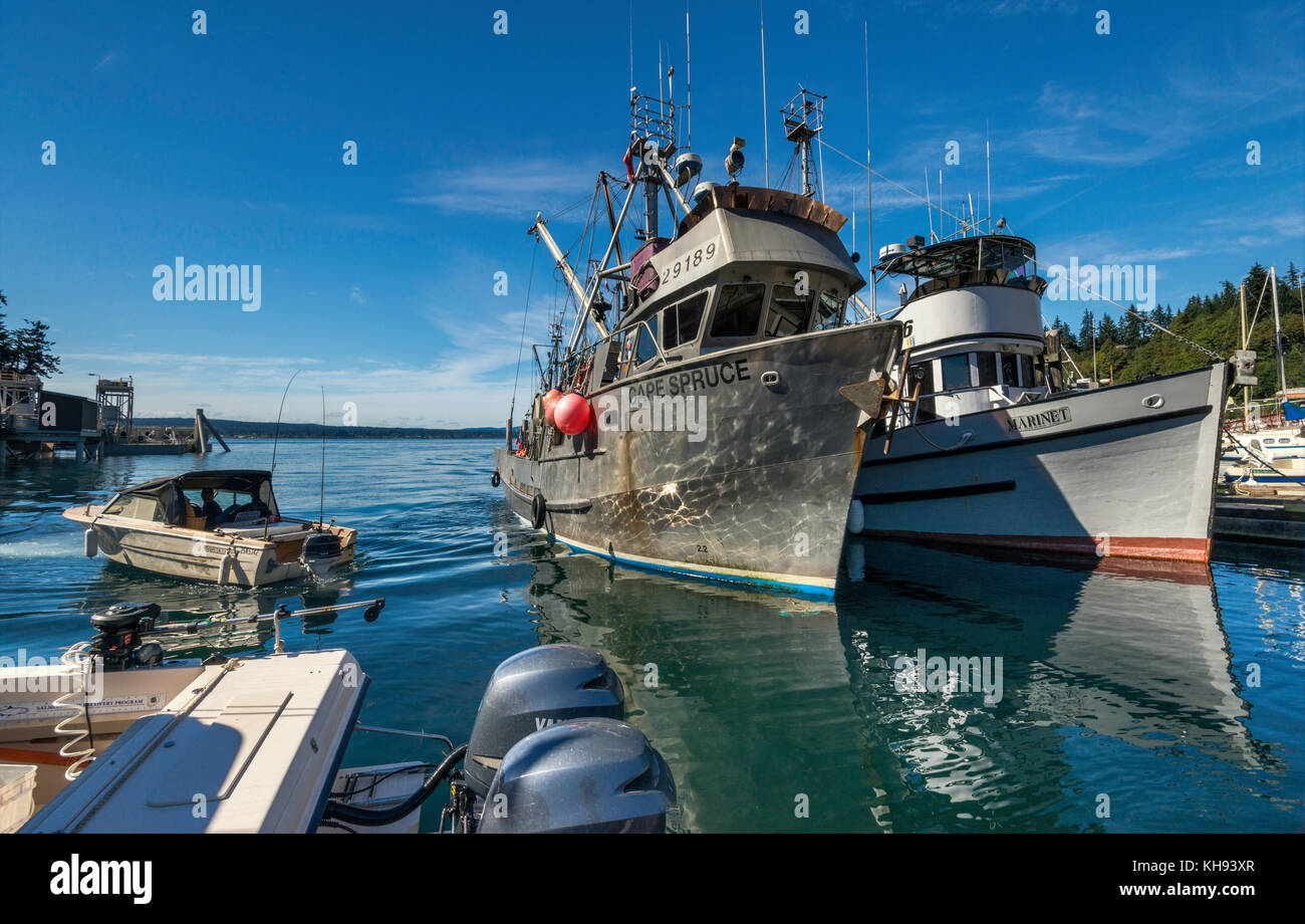 Bateaux de pêche à la marina de Quathiaski Cove sur l'île Quadra, région de l'île de Vancouver, Colombie-Britannique, Canada Banque D'Images