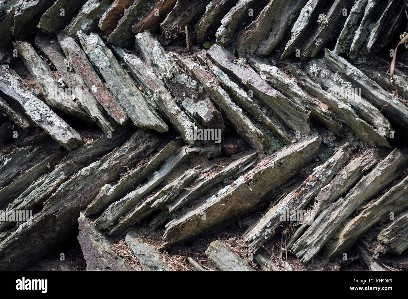 Les murs de pierres sèches traditionnelles faites de l'ardoise sur le cornique et le Devonshire côte. Banque D'Images