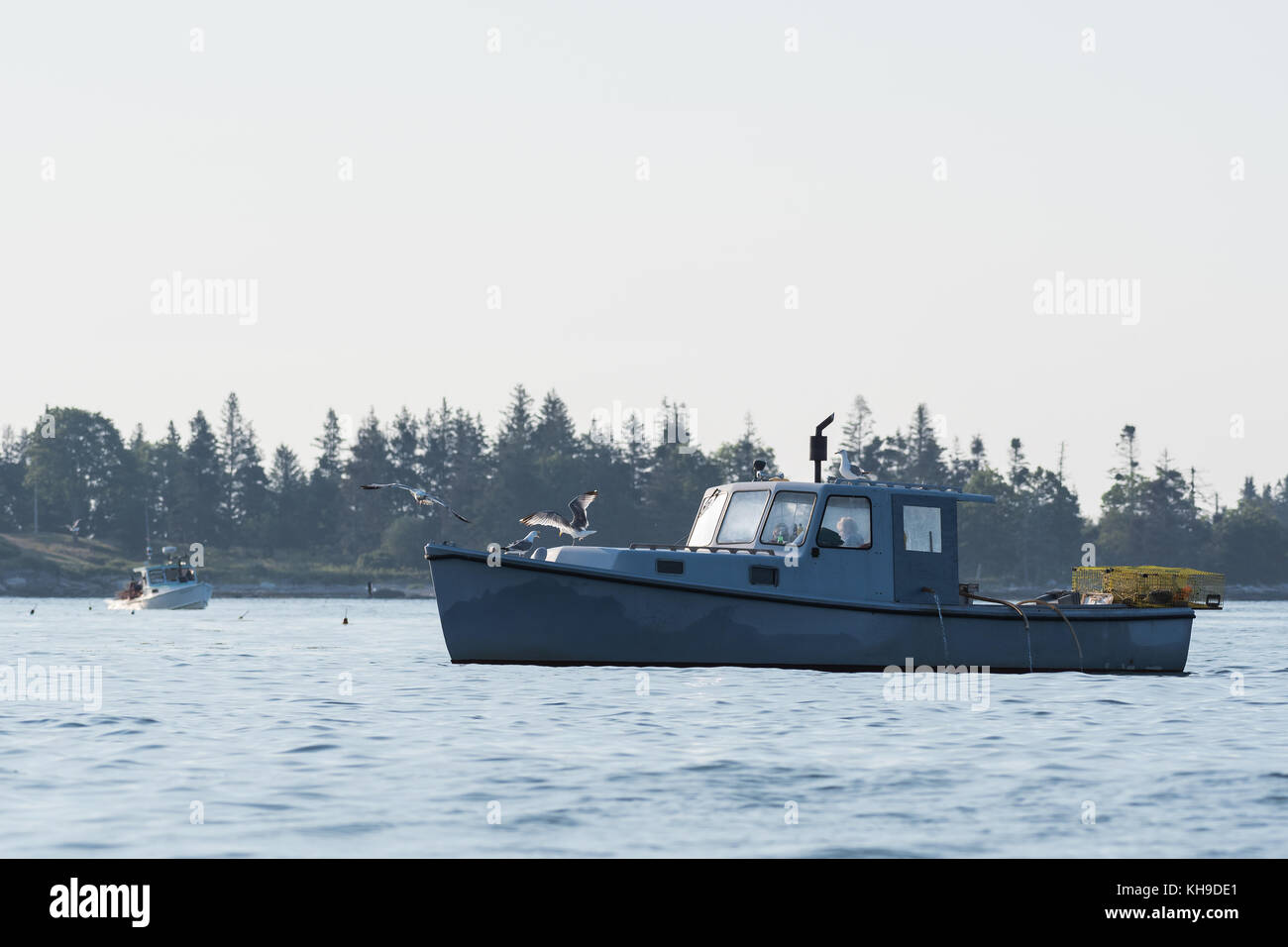 Les hommes de homard au travail sur un beau matin au début de l'automne dans le sud de Bristol, Maine, United States Banque D'Images