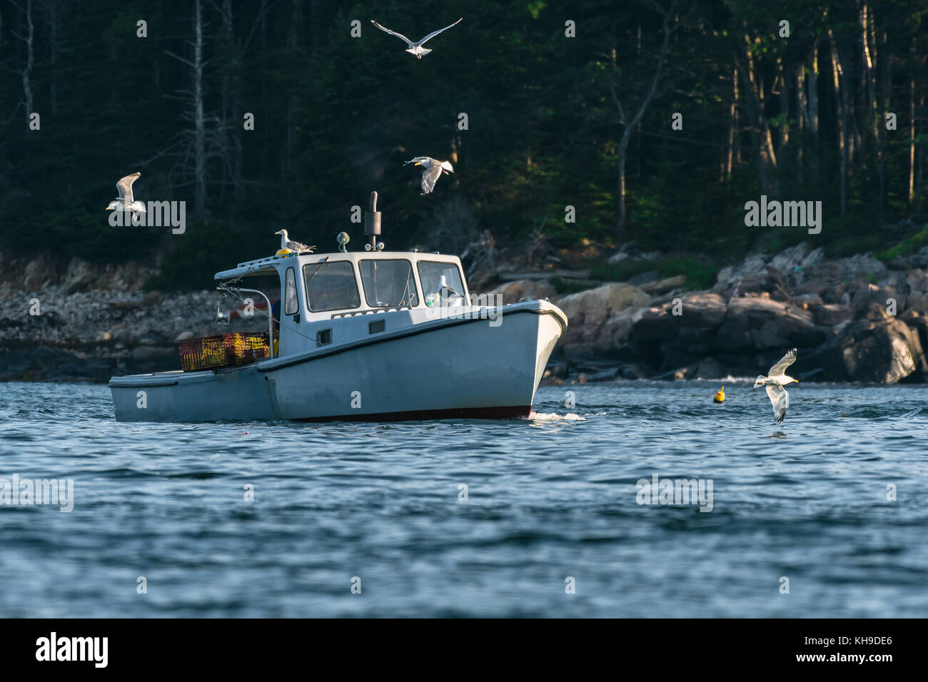 Les hommes de homard au travail sur un beau matin au début de l'automne dans le sud de Bristol, Maine, United States Banque D'Images
