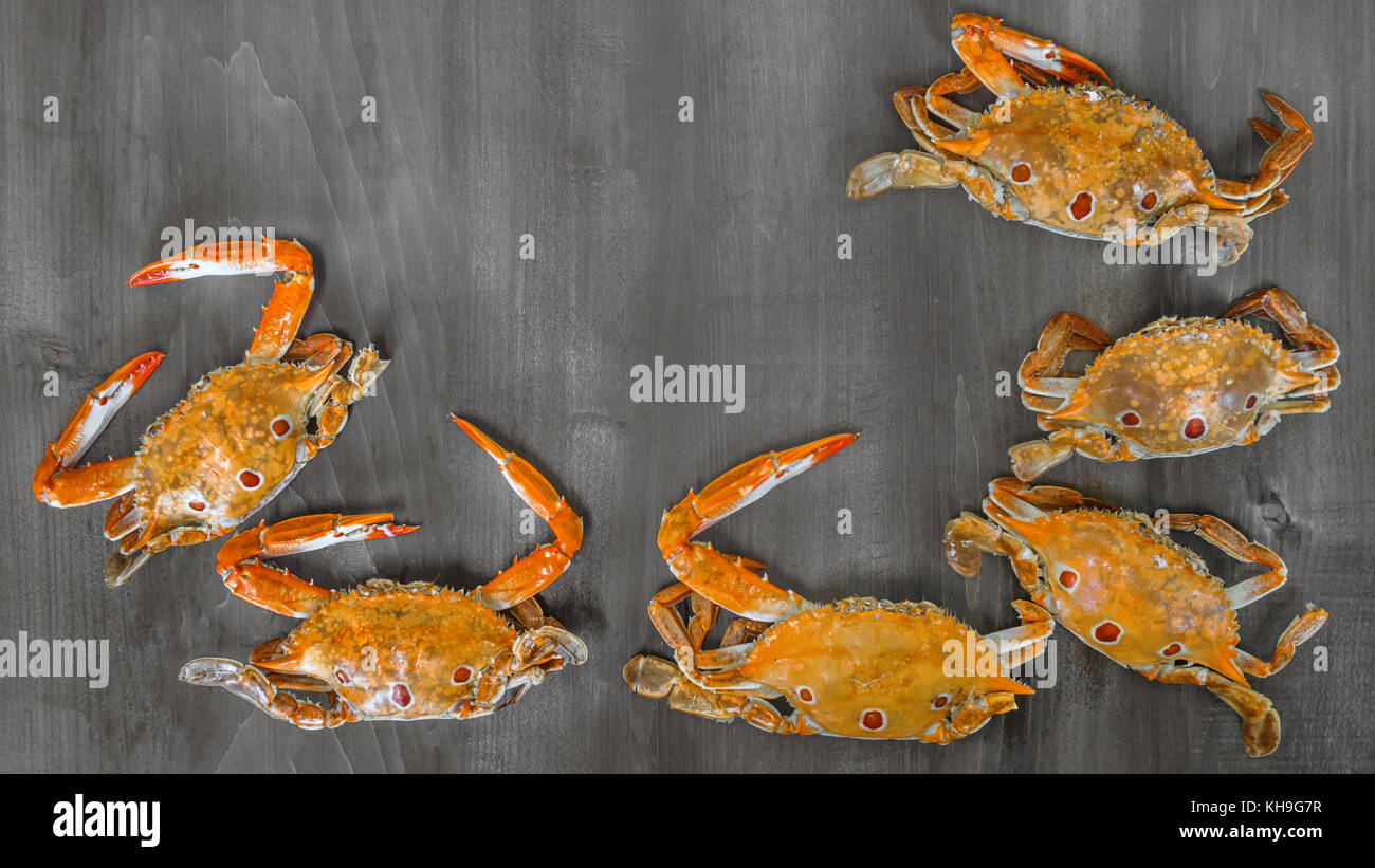 Cadre de l'alimentation avec du crabe crustacé . sur fond de bois Banque D'Images