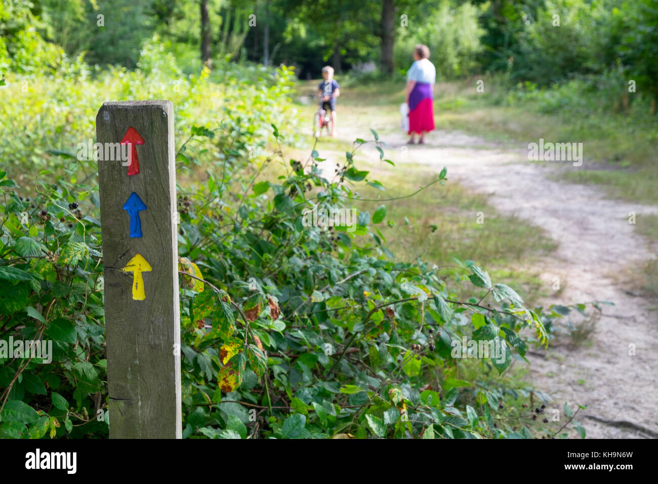 Longueur code couleur de la route panneau en bois Hamstreet National Nature Reserve, Kent, UK Banque D'Images