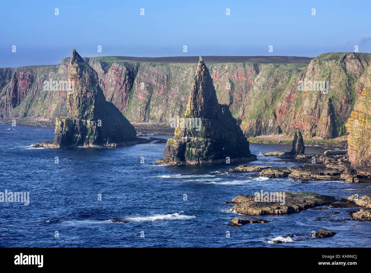 Duncansby Stacks, pinacles rocheux au sud de Duncansby Head près de John O' Groats, caithness, highland, highlands, Scotland, UK Banque D'Images