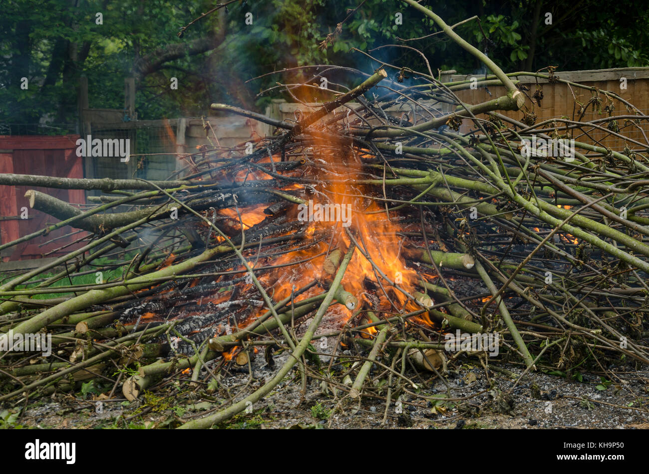 De gigantesques tas de branches de platane à partir de rameaux de brûler attraper allumée en arrière cour jardin libérant le carbone piégé dans l'atmosphère Banque D'Images