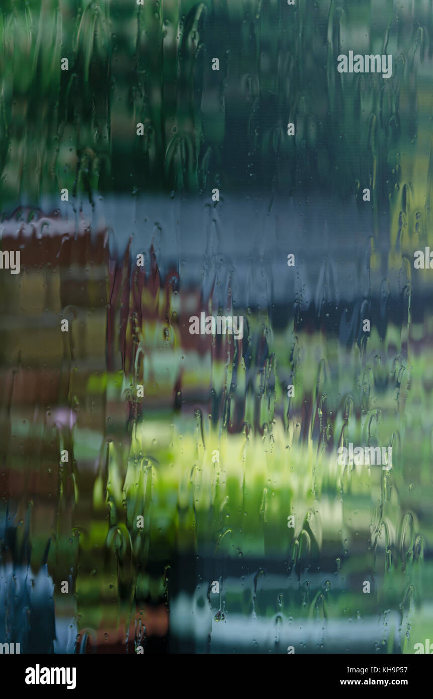 Vue déformée de début du printemps des fleurs et des plantes à travers la vitre couverte de forte pluie averse, envie de sortir et profiter de jardinage au jardin Banque D'Images