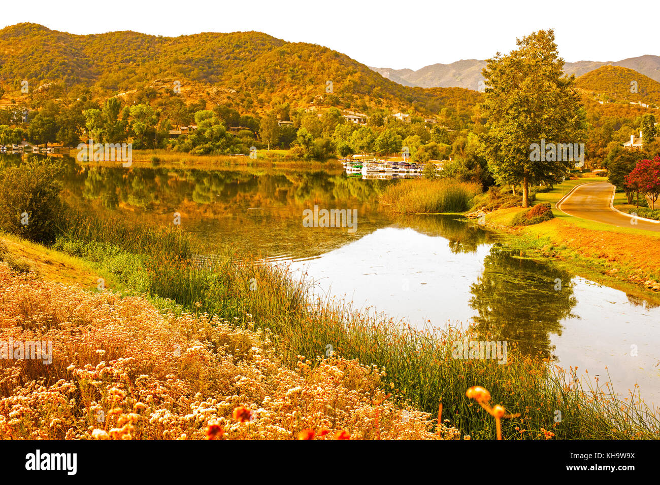 Stock photo lake sherwood réflexion arbre westlake village en Californie Banque D'Images
