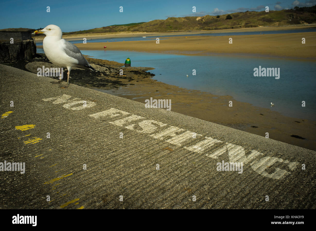 Aucun signe de pêche avec mouette attendant d'attraper du poisson, Funny juxtaposition avec l'avis d'aucune pêche Banque D'Images