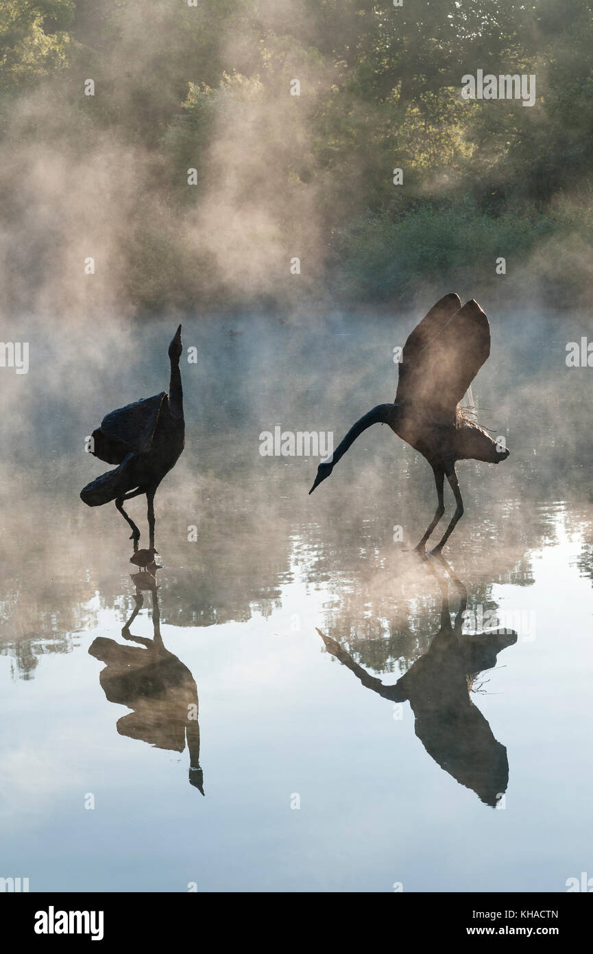 RHS Wisley Gardens, Surrey, UK. Sculptures Heron vu à travers la brume matinale sur le lac Banque D'Images