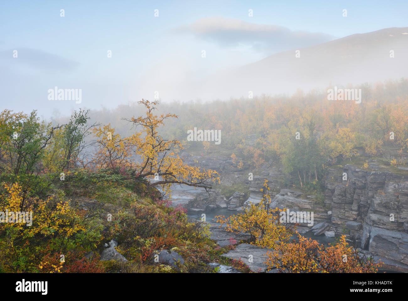 Paysage d'automne dans le brouillard du matin, abisko canyon, Abisko National Park, Suède Banque D'Images