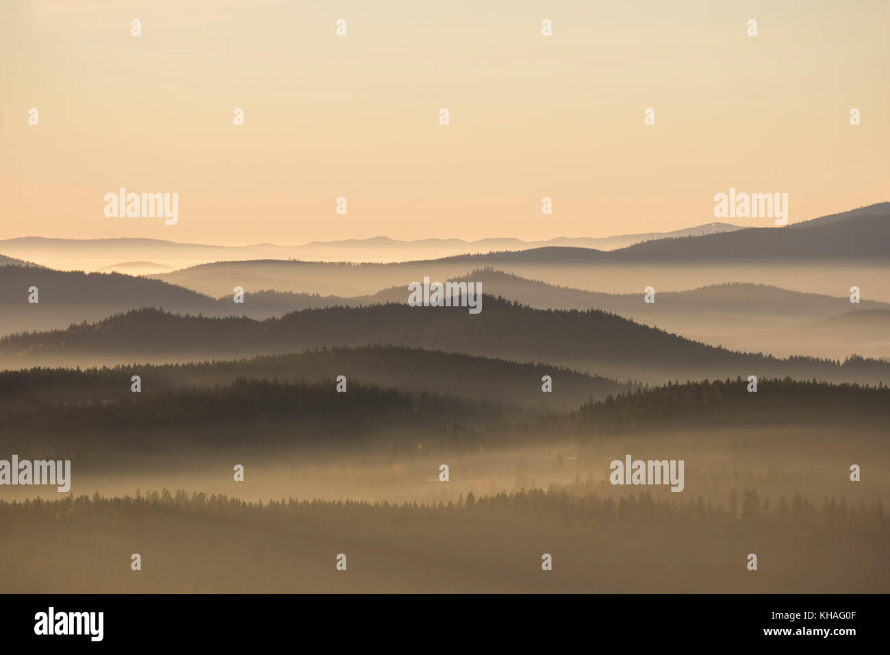 Brouillard matinal dans le parc national de Sumava en République tchèque, Šumava, vue de Siebensteinkopf, près de Finsterau, Forêt bavaroise Banque D'Images