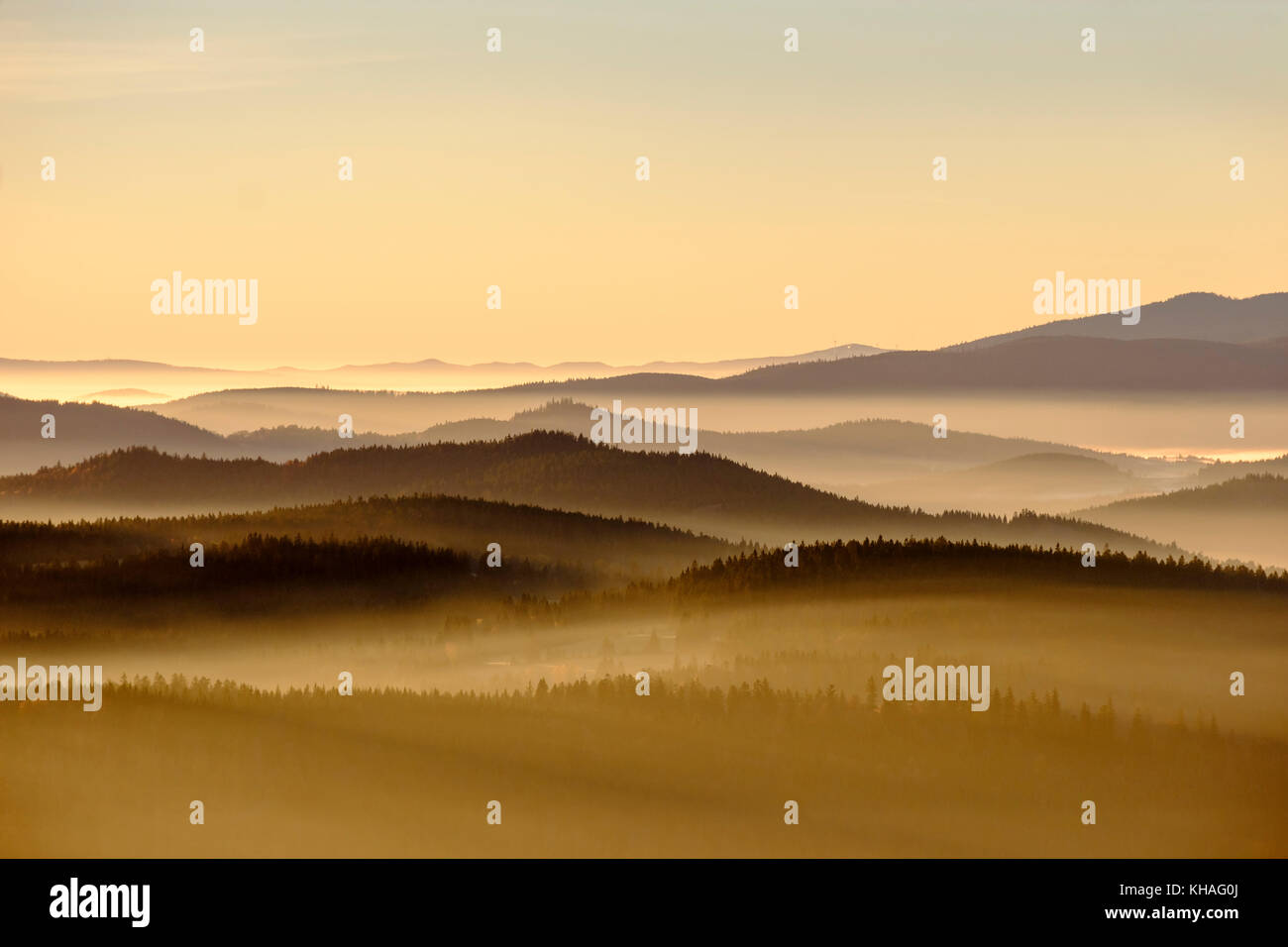 Brouillard matinal dans le parc national de Sumava en République tchèque, Šumava, vue de Siebensteinkopf, près de Finsterau, Forêt bavaroise Banque D'Images