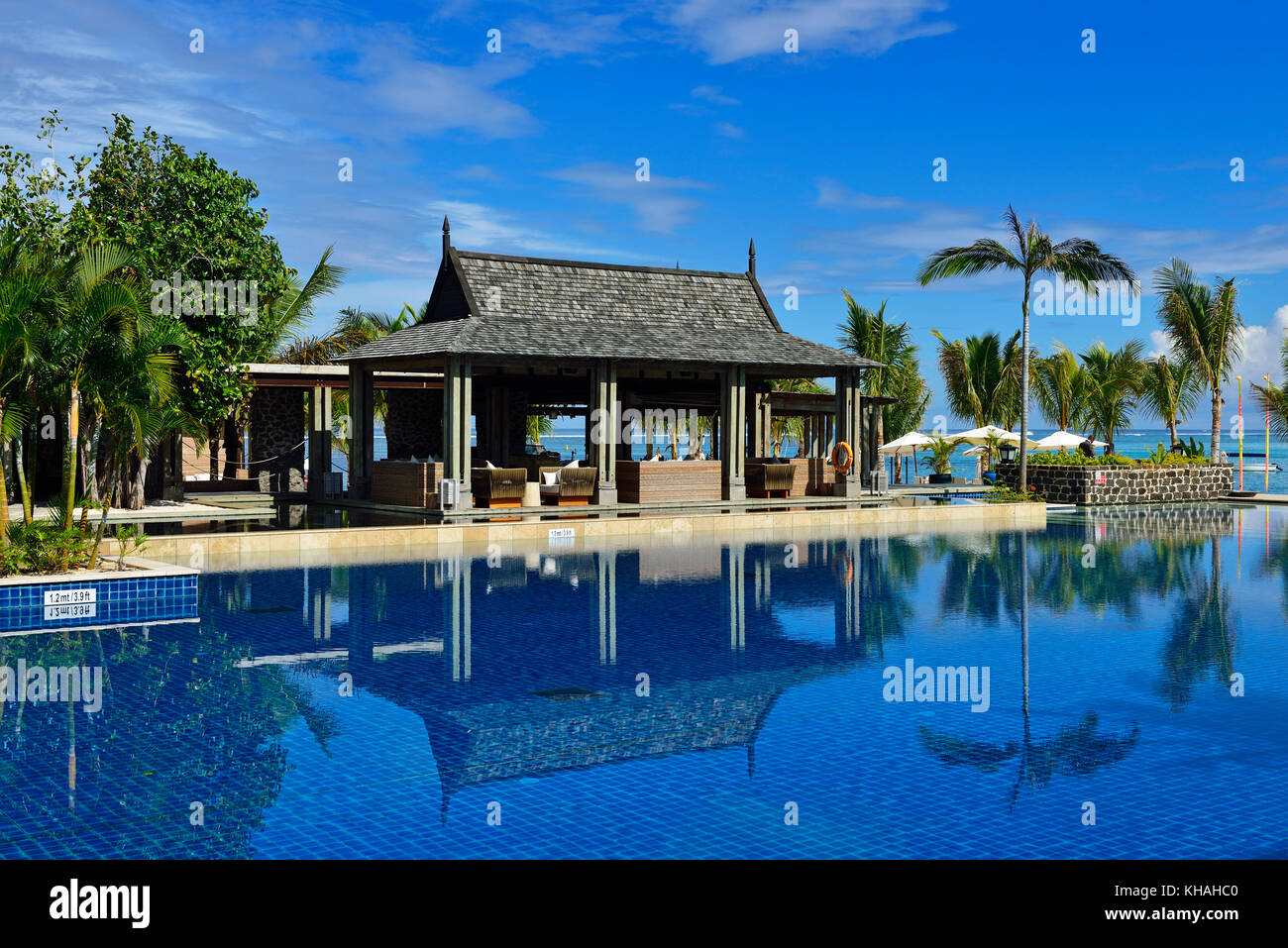 Piscine avec palmiers, saint regis resort, le morne brabant, Maurice, océan Indien Banque D'Images