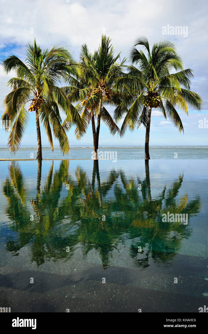 Palmiers, piscine à débordement du maradiva villas resort, l'île Maurice, océan Indien Banque D'Images
