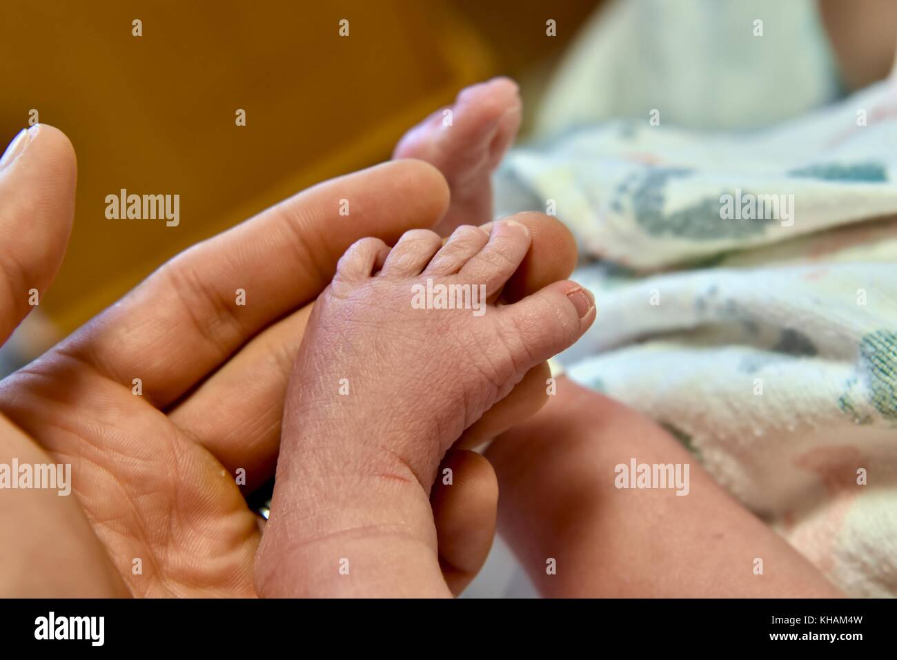 Pieds de bébé nouveau-né Banque D'Images