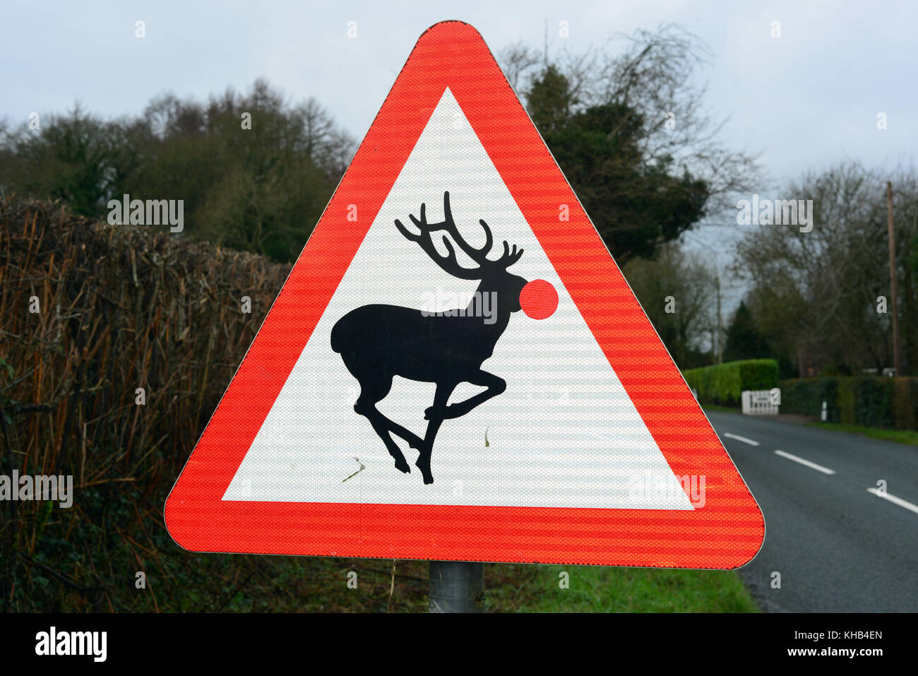 Un panneau routier près de Ludlow, UK, avertissement de deer crossing a eu un nez rouge réfléchissant ajouté à la transformer en un Rudolph le renne Nez rouge signe. Banque D'Images