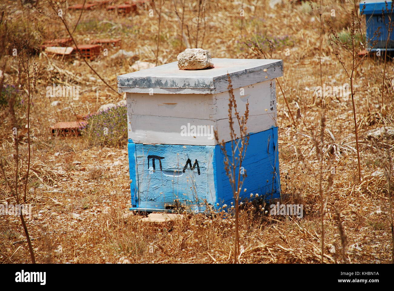 Une ruche en bois bleu et blanc près de kania sur l'île grecque de Halki. Banque D'Images