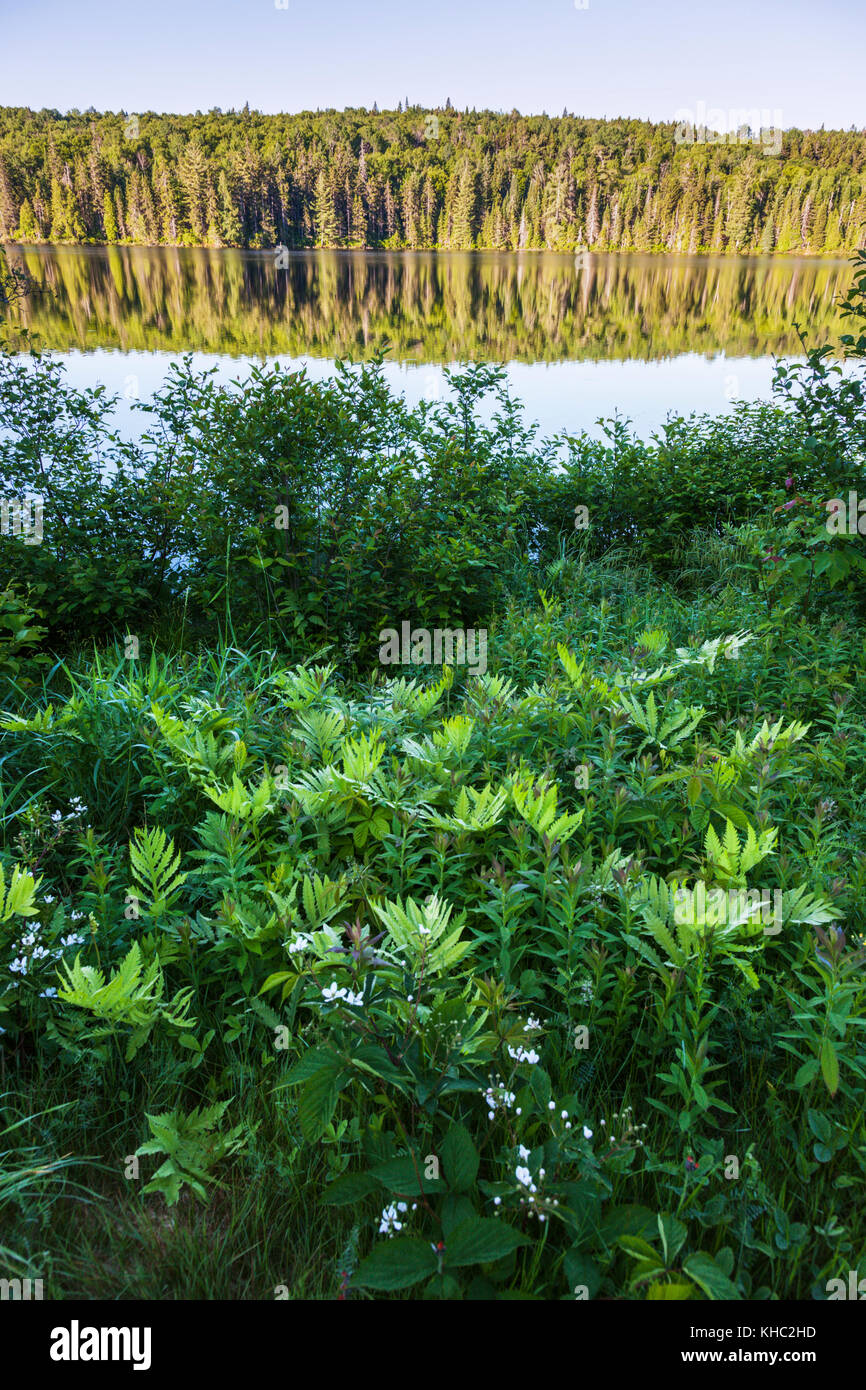 Le parc national de la Mauricie au Québec. Québec, Canada. Banque D'Images