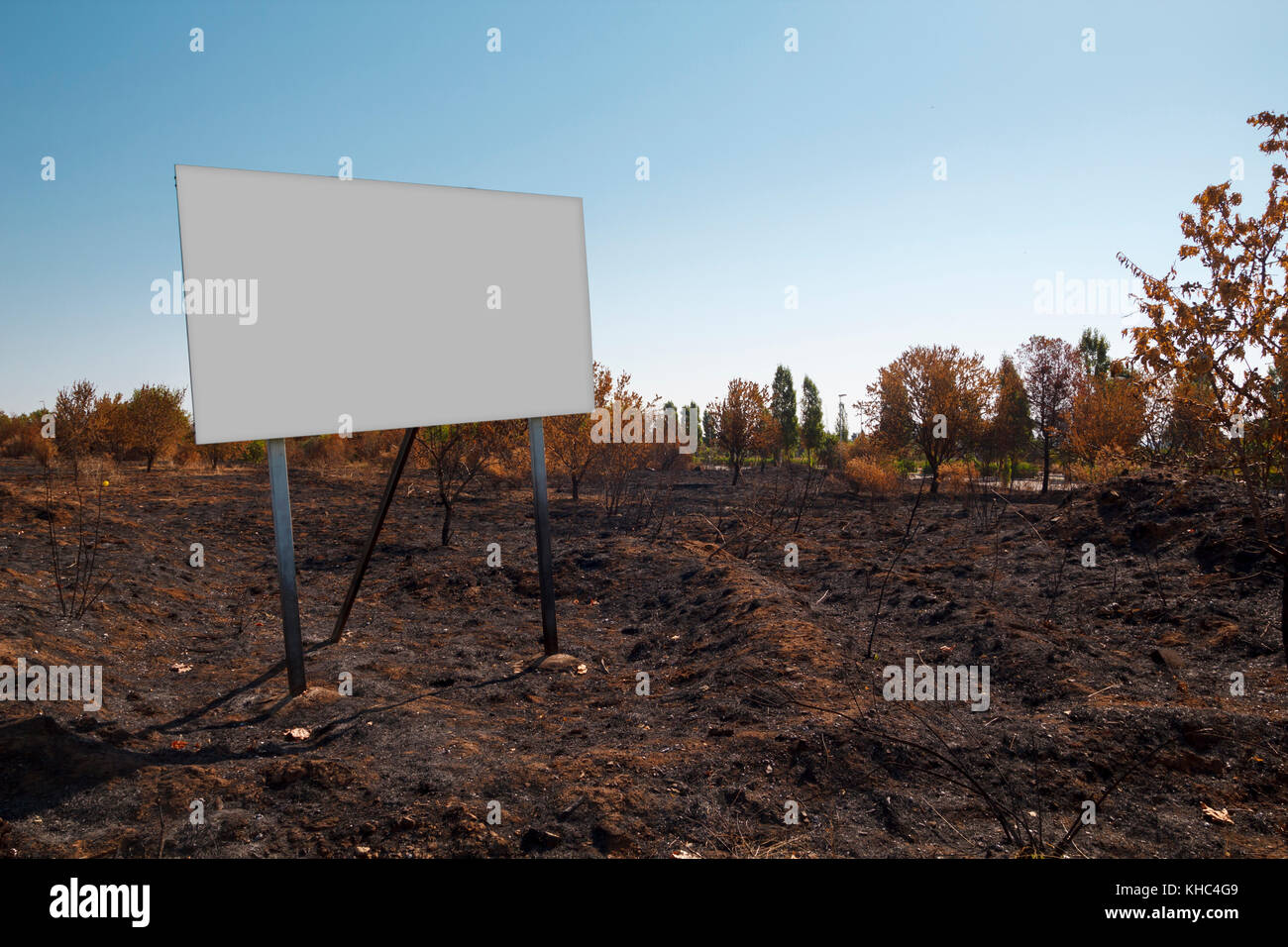 Blank billboard des maquettes dans une parcelle brûlée Banque D'Images