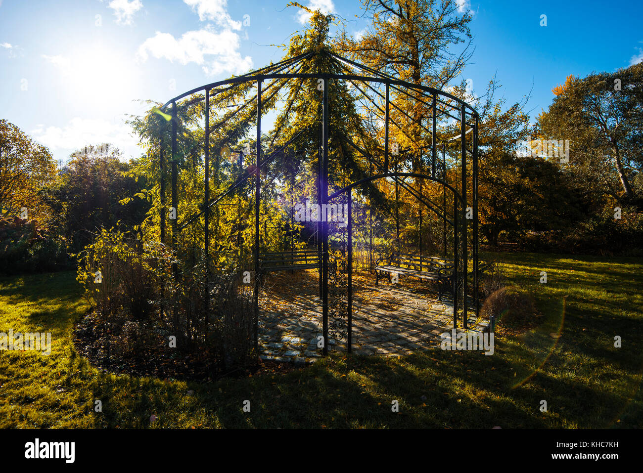 Wakehurst place. Jardins majestueux aux couleurs or et rouge d'automne. Lac. Marche. Salon de thé. Restaurant. Grands arbres. Vues magnifiques. Kew. Confiance NAT. Banque D'Images