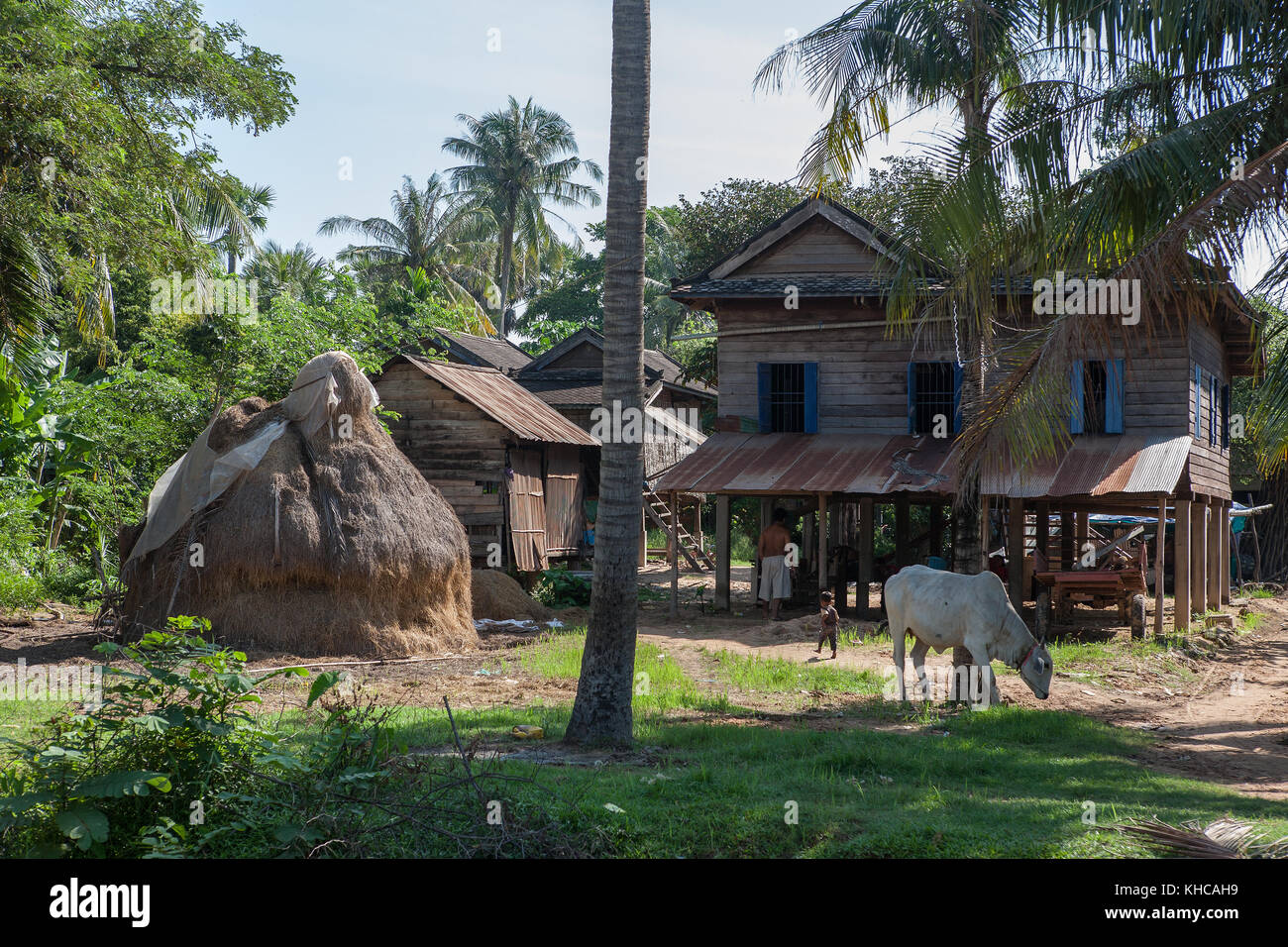 Vie rurale: Une maison typique de pilotis dans le village de Ta Chet, commune de Somroang Yea, district de Puok, province de Siem Reap, Cambodge Banque D'Images