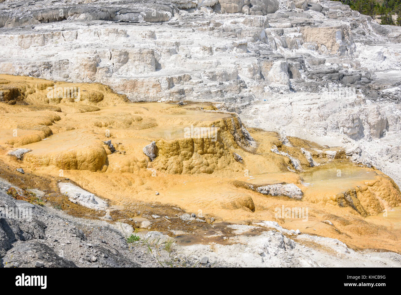 Mammoth Hot Springs. entrée nord, le parc de Yellowstone, États-Unis Banque D'Images