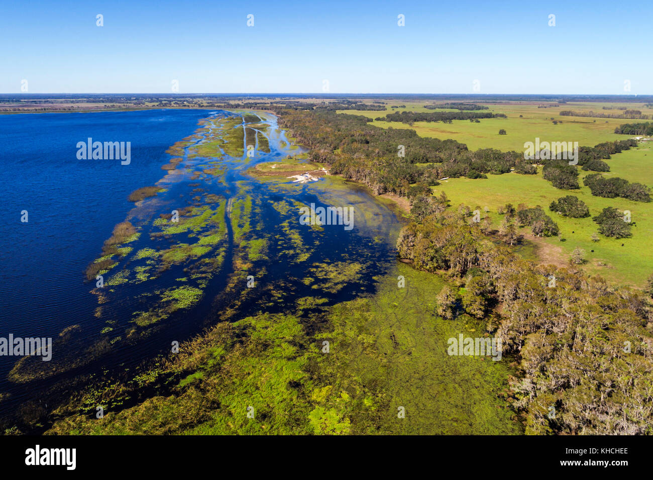 Floride,Kenansville,Cypress Lake,eau,rivage,arbres,vue aérienne,États-Unis États-Unis Amérique du Nord,FL17103013d Banque D'Images