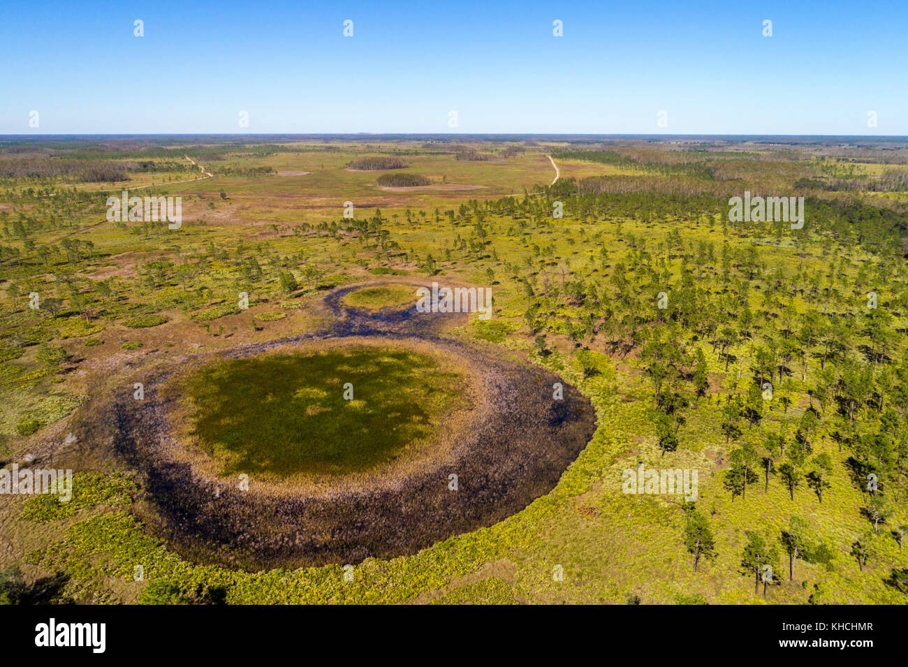 Floride,Kenansville,Lake Marian Highlands,Three Lakes Wildlife