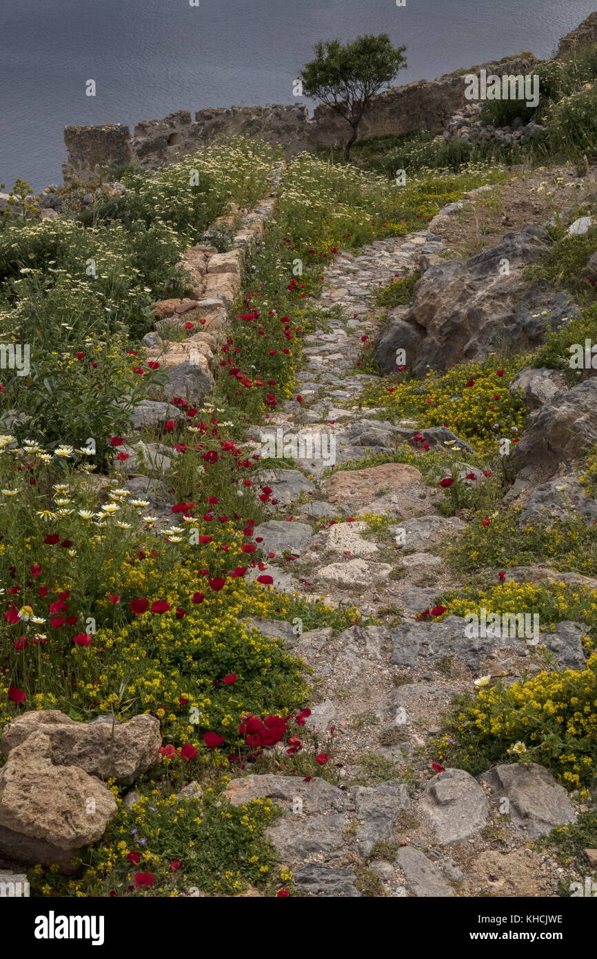 Ancien chemin avec fleurs de printemps, menant vers la mer, Monemvasia, peloponnese, Grèce. Banque D'Images