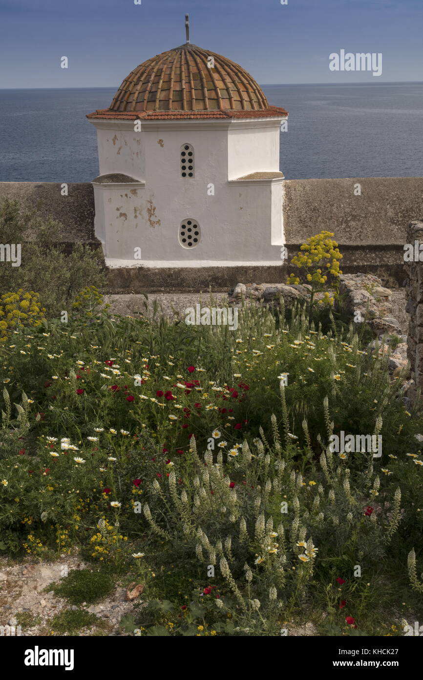 Chapelle byzantine avec des masses de fleurs printanières, en particulier des mignonnettes blanches, à Monemvasia, Péloponnèse, Grèce. Banque D'Images