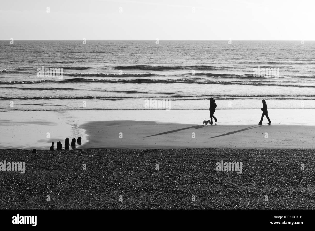 Un couple en train de marcher leur chien sur la plage Banque D'Images