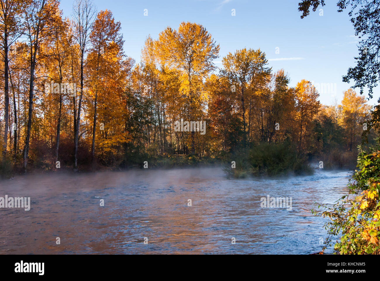 La rivière Cowichan, sur un matin ensoleillé, des arbres en couleurs d'automne rougeoyant et machine à vapeur passant de la rivière Banque D'Images