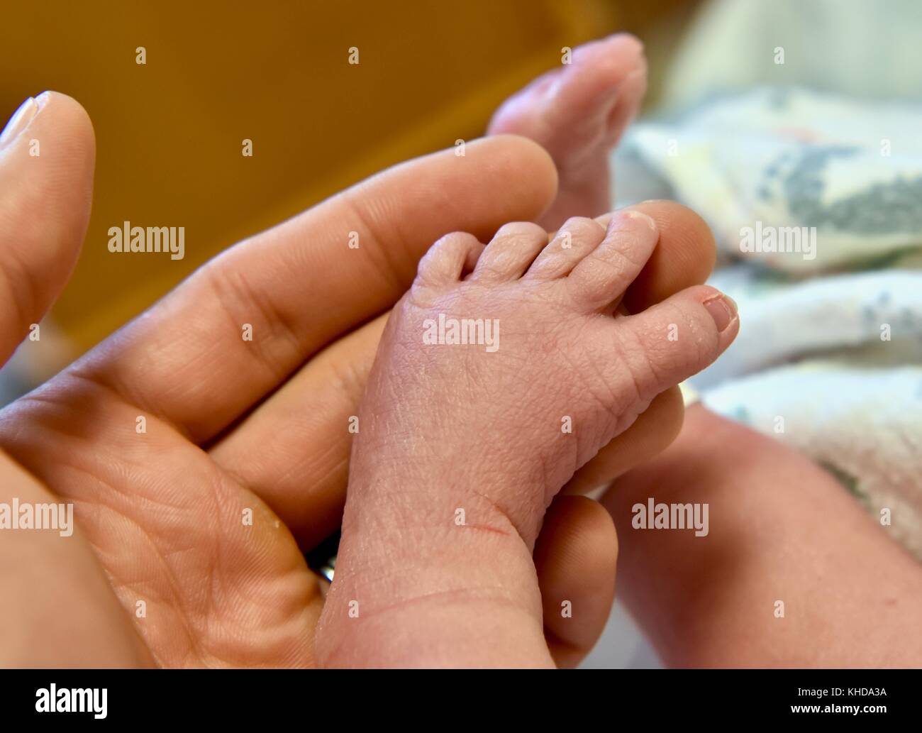 Pieds de bébé Banque D'Images