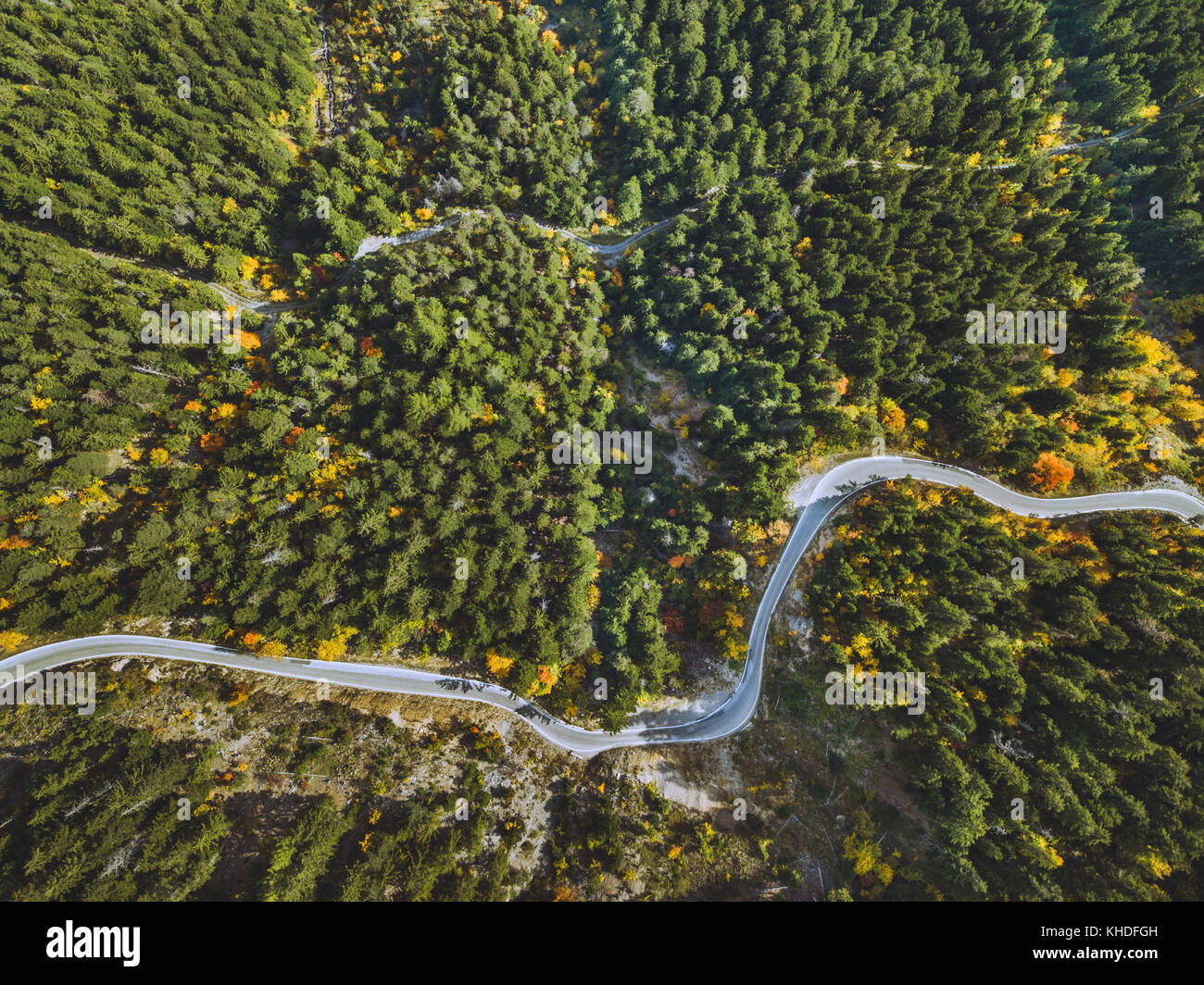 Paysage aérien de route sinueuse dans la forêt, belle vue sur la serpentine de drone Banque D'Images
