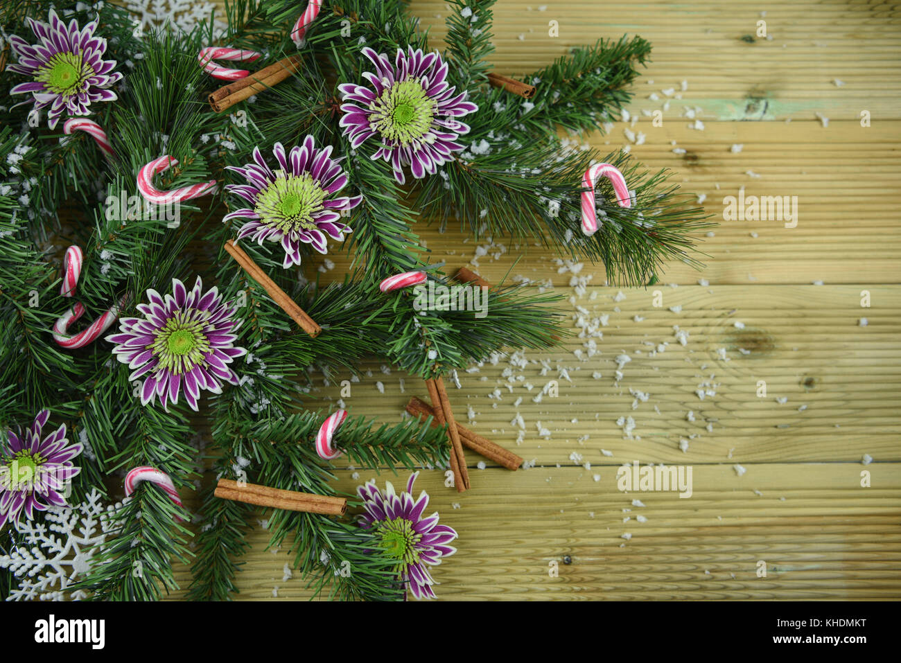 Image Noël Nourriture photographie de branches d'arbre de Noël vert avec des bâtons de cannelle et fleurs d'hiver frais cannes de bonbon saupoudré dans la neige Banque D'Images