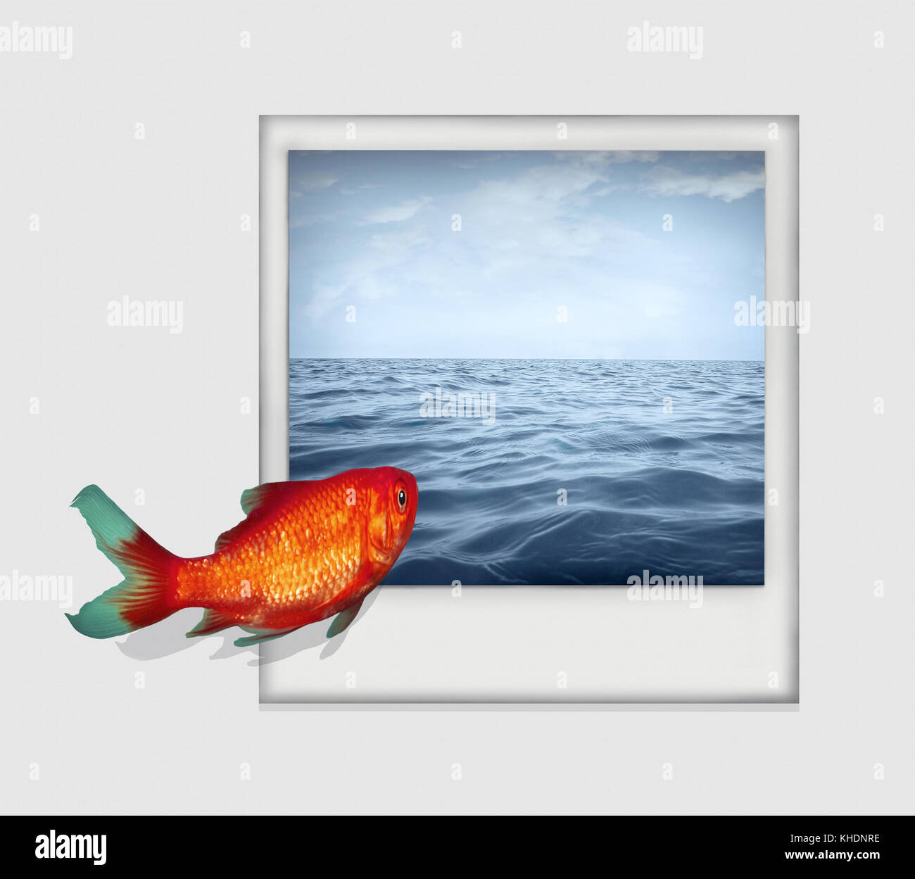 Image surréaliste isolé sur fond blanc représentant un poisson rouge qui plongent à partir d'un livre blanc en photo avec un paysage de mer et de ciel Banque D'Images